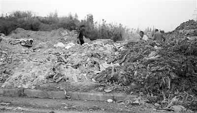 世界上产量最大的水果_人均垃圾产量(2)