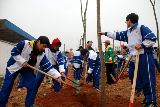 韩国学生正在植树