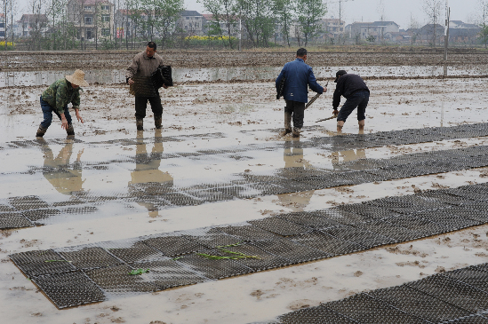 乱世三义种地是哪一集_剑三 种地收入(3)